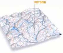 Puyon