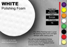 camaro5.com Pwhite