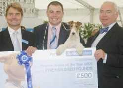 ourdogs.co.uk Pwin