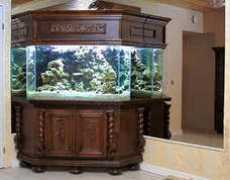 mikael.aqua-web.org Pyndyk