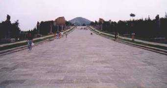 amasci.com Qianling