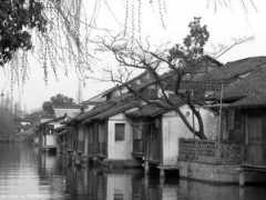 sozhen.com Qiaoni