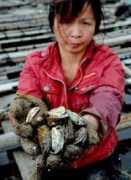 news.xinhuanet.com Qiaoying