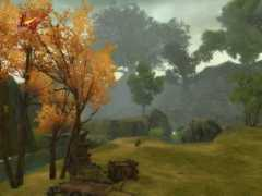 Qidi