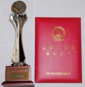 bgs.dicp.ac.cn Qikan