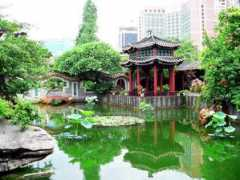 newsgd.com Qinghui