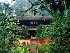 chinadiscovery.com Qingying