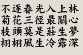 mountainsongs.net Qinrui