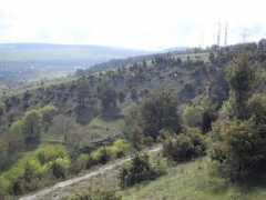 Qirim
