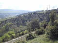 Qirim
