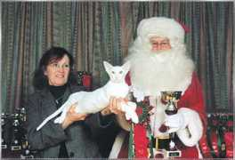 catteryrelease.nl Qitan