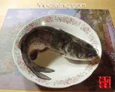 yeqiang.com Qiuyu