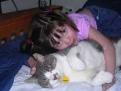 kittyangels.org Qtip