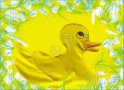 featurepics.com Quacker