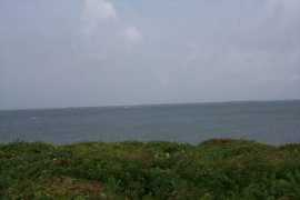 Quaise