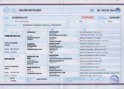 brittonfarmsdobermans.com Qualina