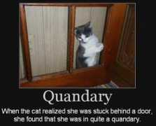 classroom20.com Quandary