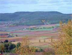 lehrer.freepage.de Quanten