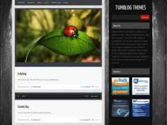 flashuser.net Quantez