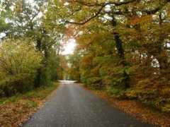 picturesofengland.com Quantock