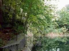 Quary