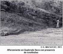 Quebradas