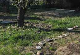 das-wilde-gartenblog.de Quecke