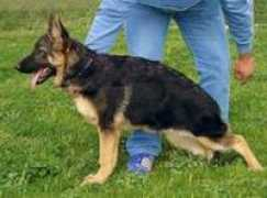 jalex.info Quelia