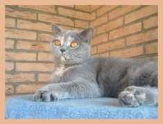 truesoul.de Quelina