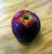 incredapple.com Querina