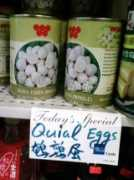 Quial