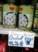 Quial