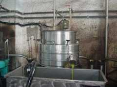 digitaljournal.com Quilimari