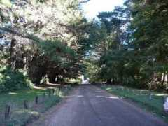 Quina