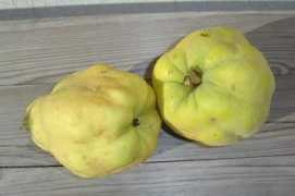 Quince