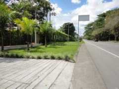 panoramio.com Quindio