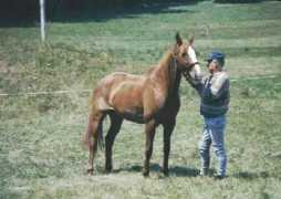 hackamore.free.fr Quindy