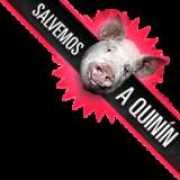 Quinin