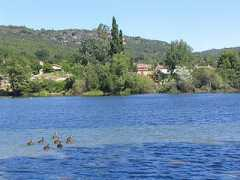 web-provence.com Quinson
