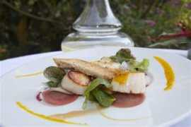 thalasso-line.com Quintessia