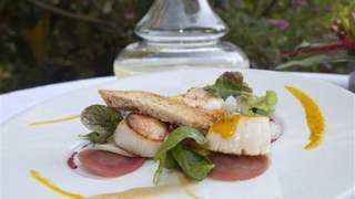 thalasso-line.com Quintessia