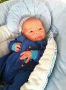 heraldchronicle.com Quintez