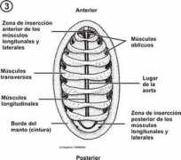 asturnatura.com Quiton
