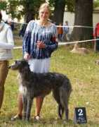 irater.cz Qwinta