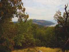 Rabac