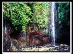 madeira-seekers.com Rabacal