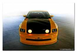 tctc-mustangclub.org Rabatin