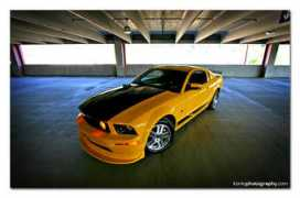 tctc-mustangclub.org Rabatin