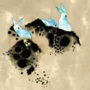 favim.com Rabbit