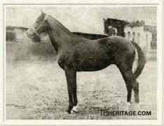 tbheritage.com Rabelais